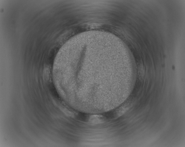 X0000078230222200612011548