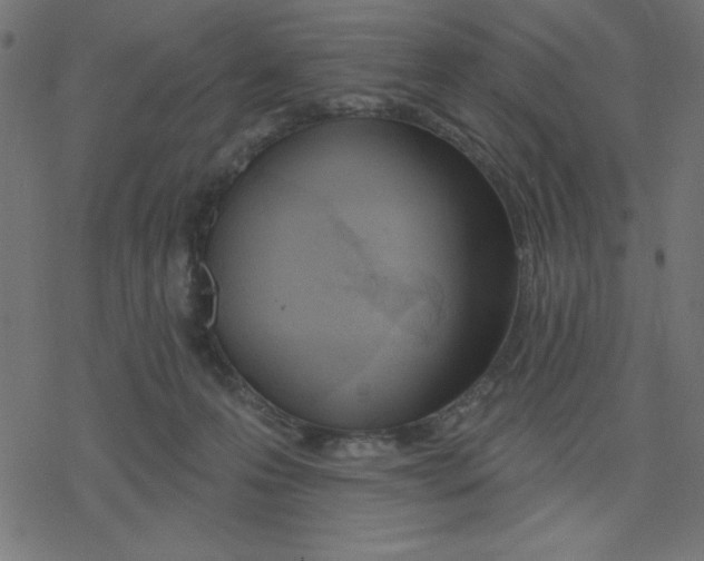 X0000078230223200612011548