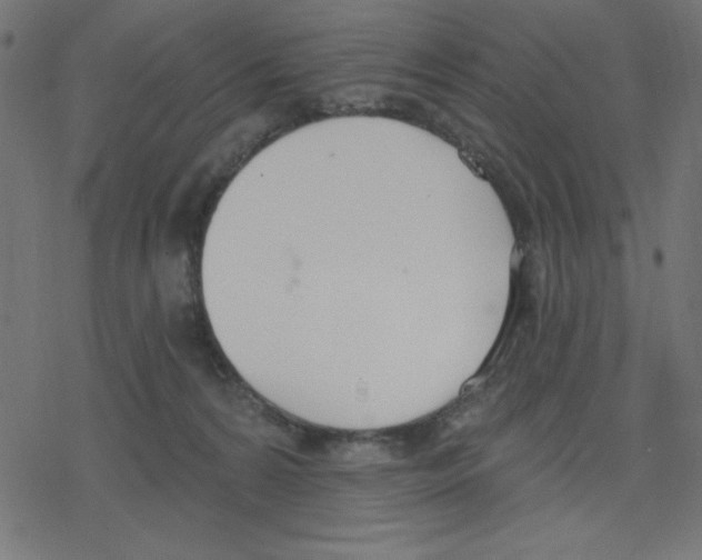 X0000078230224200612011548