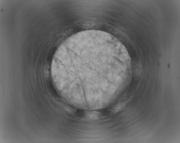 X0000078230226200612011548