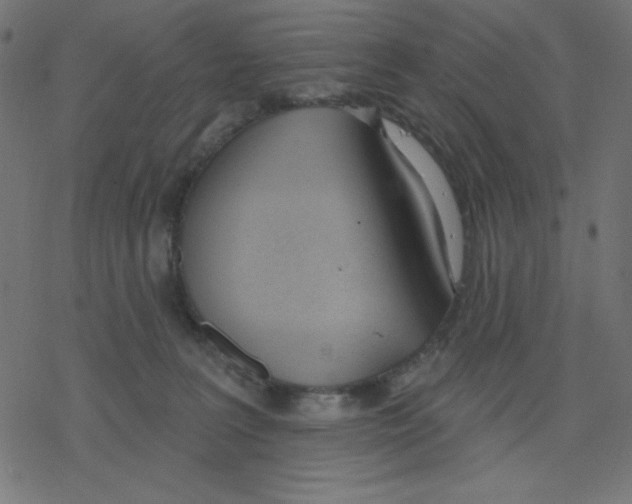 X0000078230227200612011548