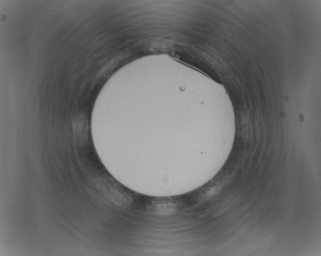 X0000078230228200612011547