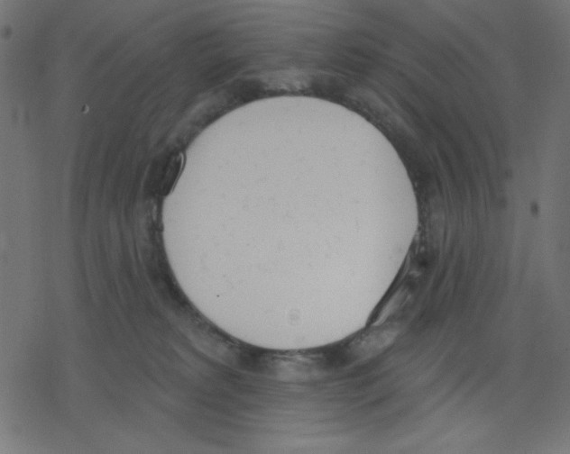 X0000078230229200612011547