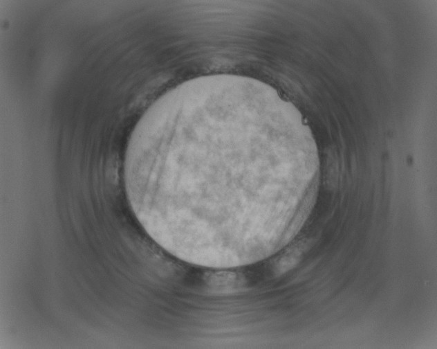 X0000078230230200612011547