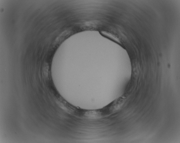 X0000078230231200612011547