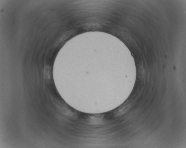 X0000078230232200612011547