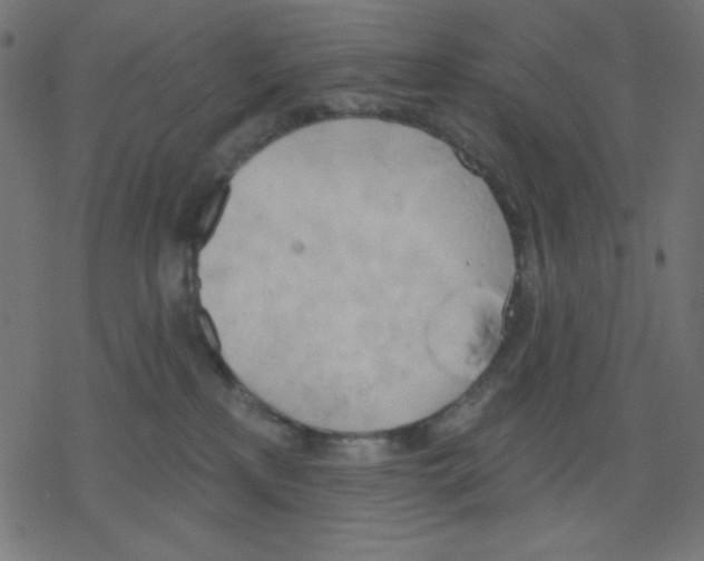 X0000078230233200612011547