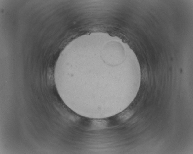 X0000078230234200612011547