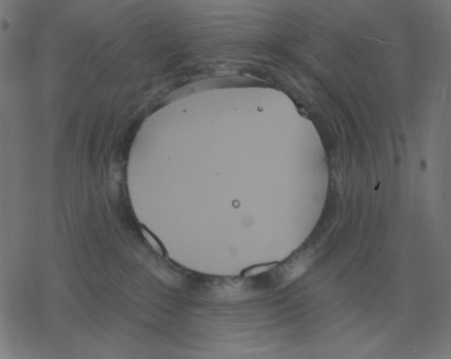 X0000078230235200612011547