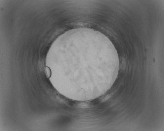 X0000078230236200612011547