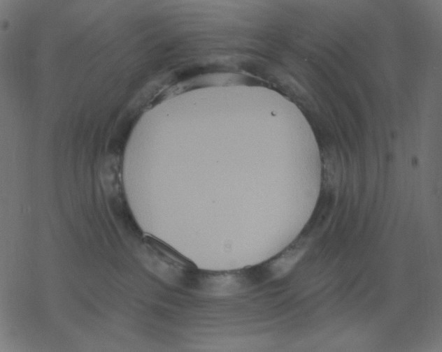 X0000078230237200612011547