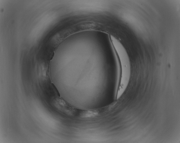 X0000078230239200612011547