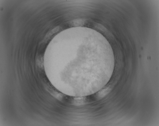 X0000078230240200612011547