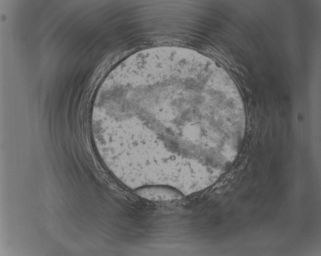 X0000078230241200612011547