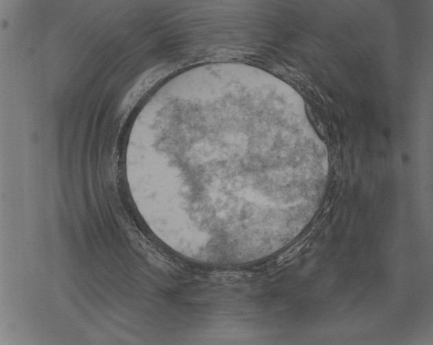 X0000078230242200612011547