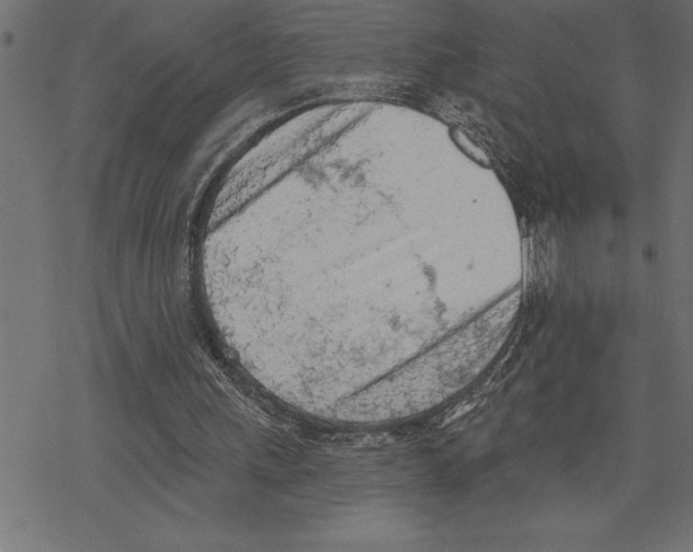 X0000078230243200612011547