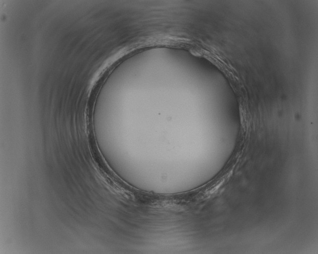 X0000078230244200612011547