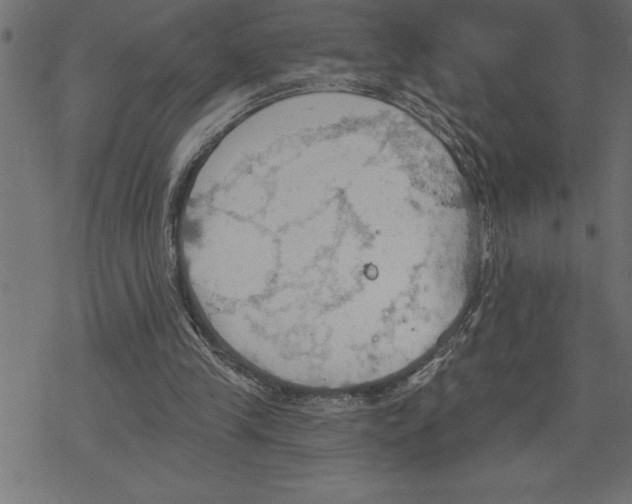 X0000078230245200612011547