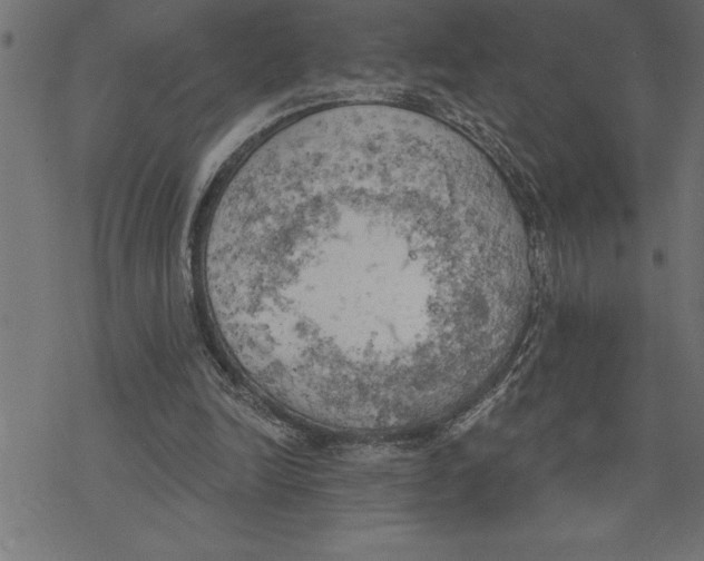 X0000078230246200612011547