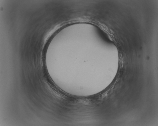 X0000078230248200612011547