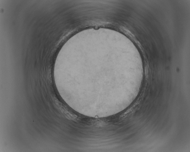 X0000078230249200612011547