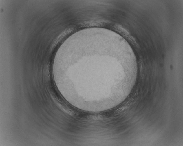 X0000078230250200612011547