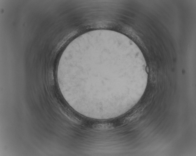 X0000078230251200612011547