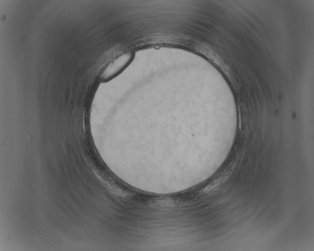 X0000078230253200612011547