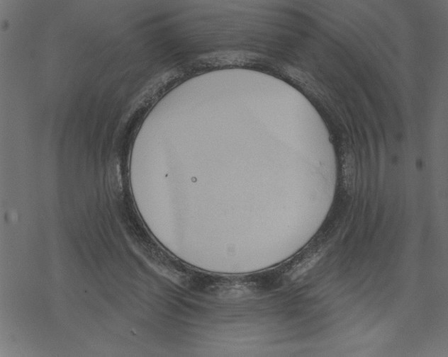 X0000078230254200612011547