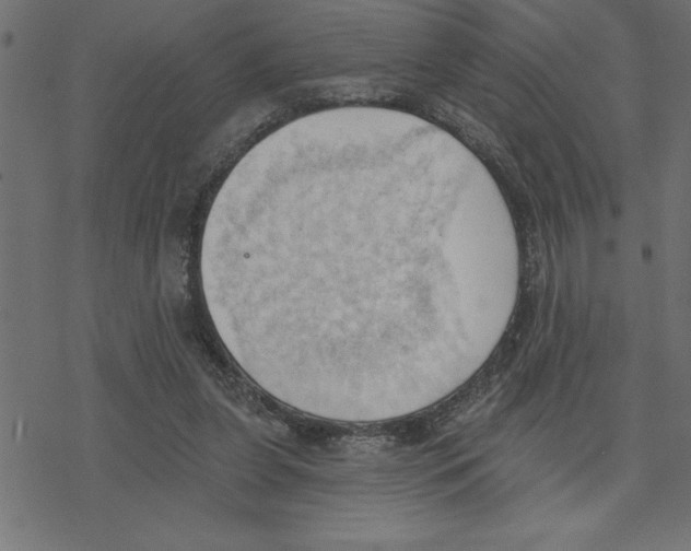 X0000078230255200612011547