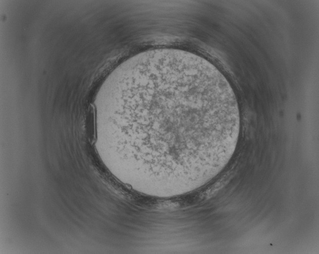 X0000078230257200612011547