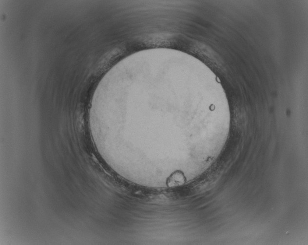 X0000078230259200612011547