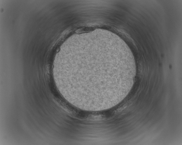 X0000078230260200612011547