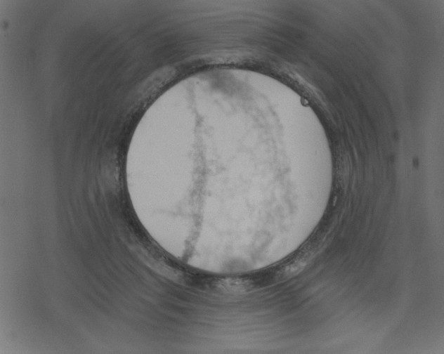 X0000078230261200612011547