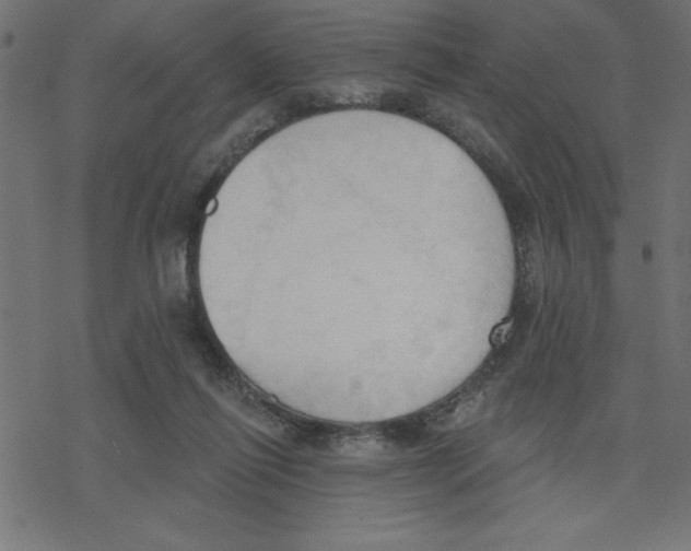 X0000078230262200612011547