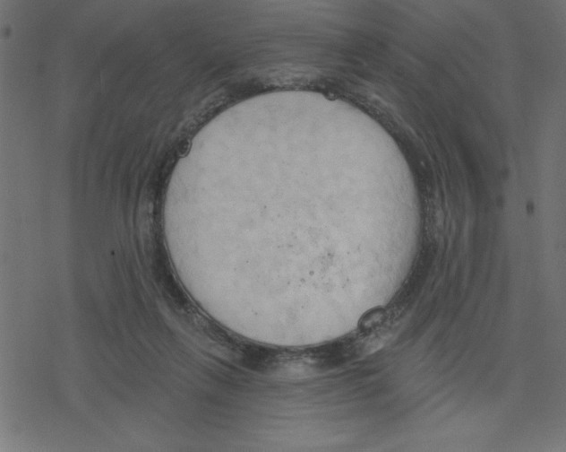 X0000078230263200612011547