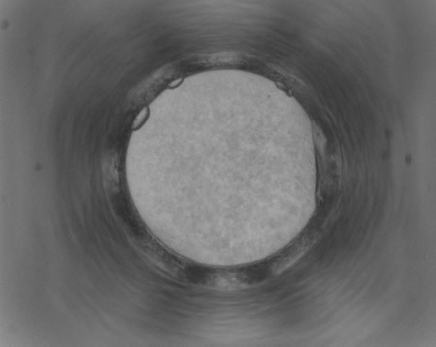 X0000078230264200612011547