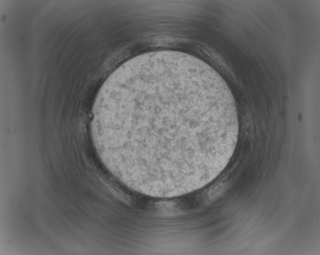 X0000078230265200612011547