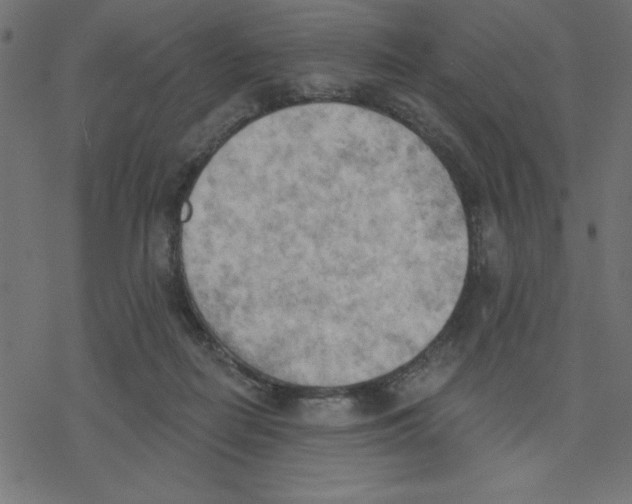 X0000078230266200612011547