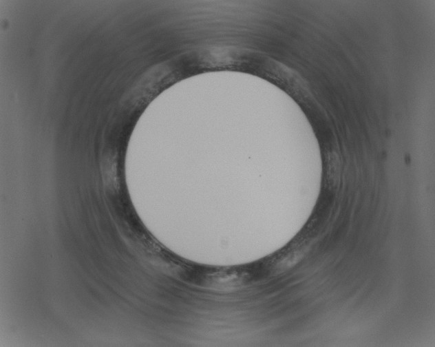 X0000078230267200612011547