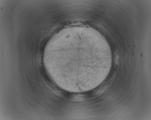 X0000078230268200612011547