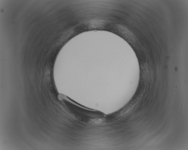 X0000078230269200612011547