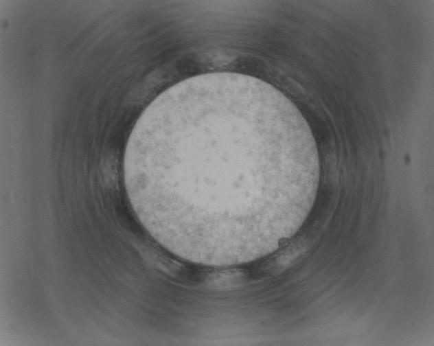 X0000078230274200612011547