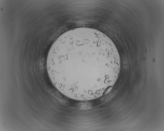 X0000078230275200612011547