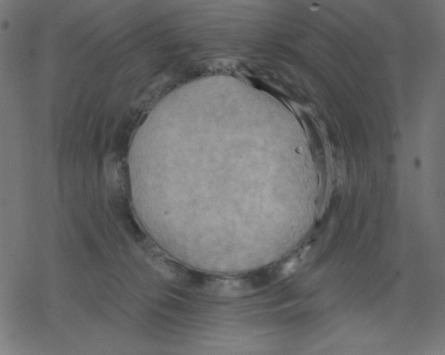 X0000078230276200612011547