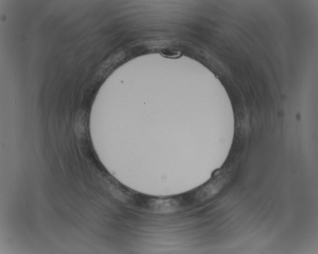 X0000078230277200612011547