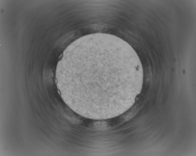 X0000078230279200612011547