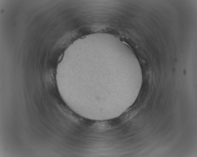 X0000078230280200612011547