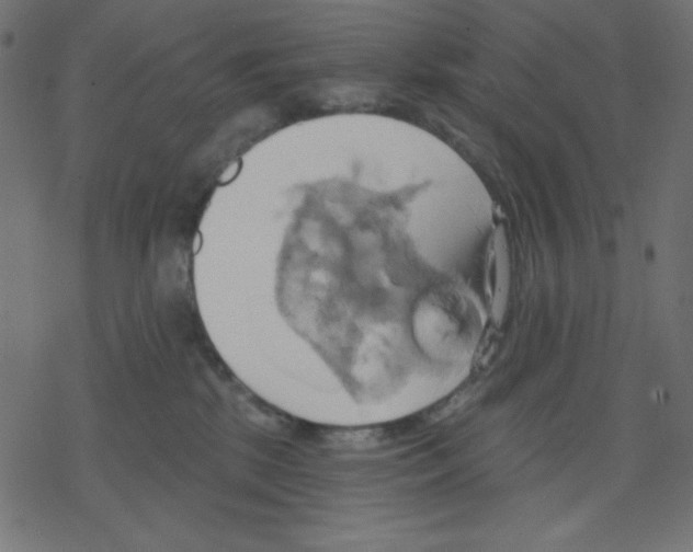 X0000078230281200612011547