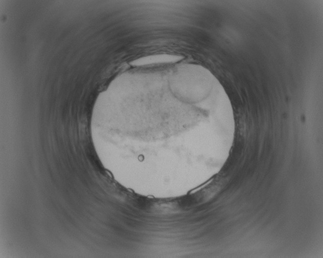 X0000078230283200612011547